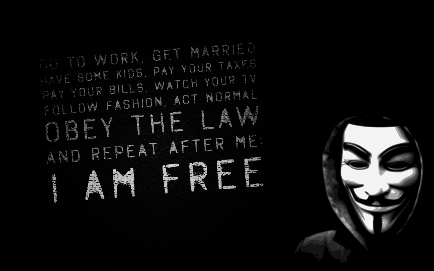 Person In Guy Fawkes Mask V For Vendetta Dom Justice