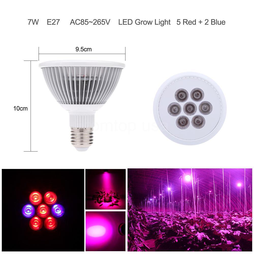 Led Plant Grow Light Bulbs Pc Android iPhone And iPad Wallpaper