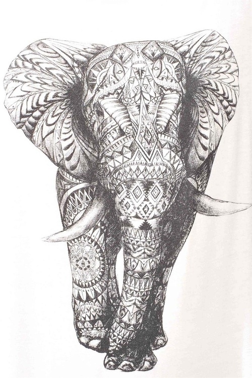 Aztec Elephant