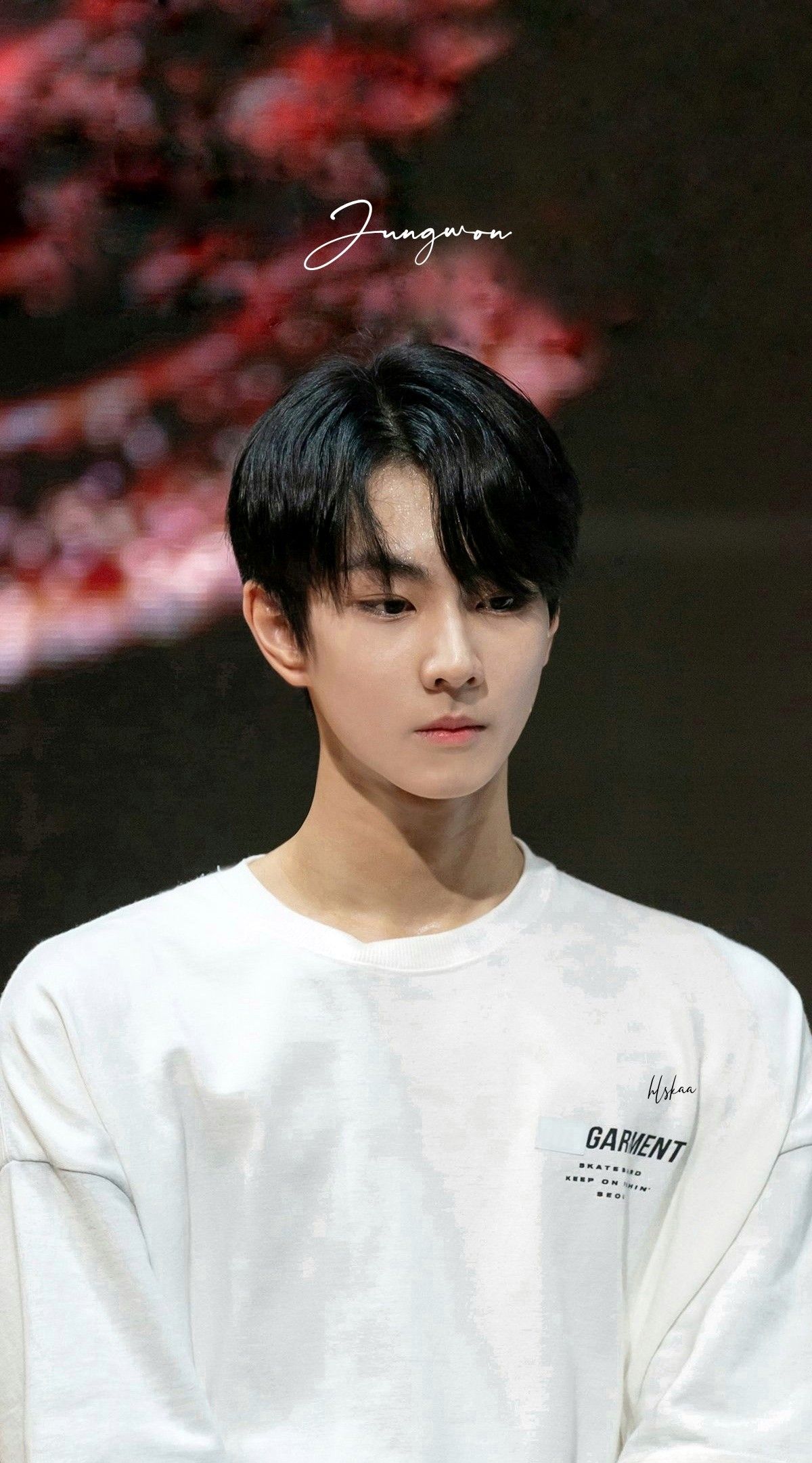 I Land Jungwon