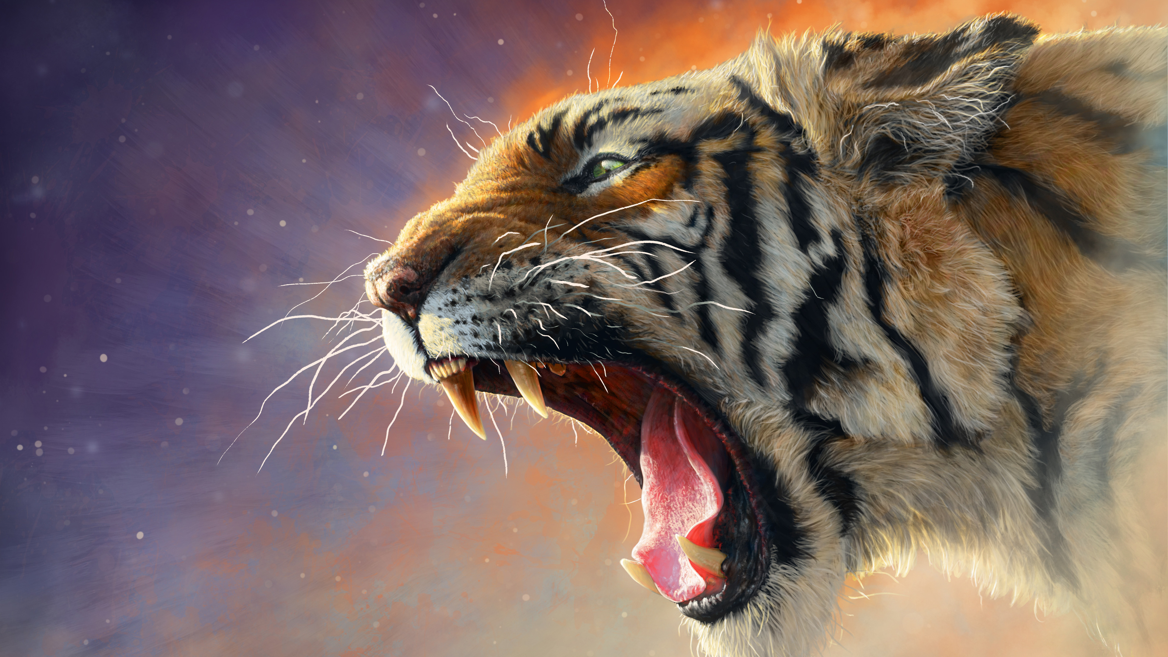 Tiger 4k Ultra HD Wallpaper Background Image