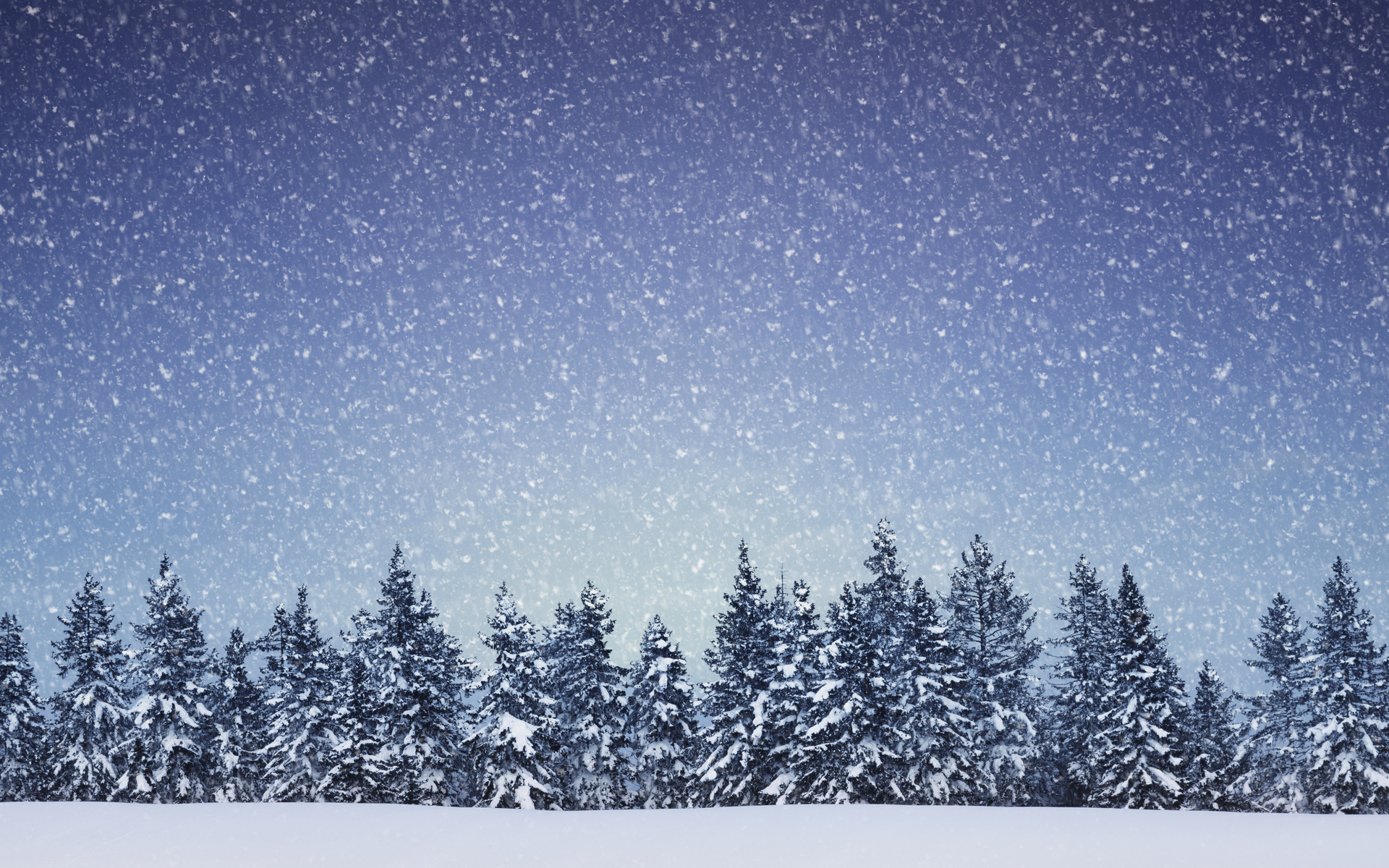 Trees Forest Winter Snow Snowing Flakes Wallpaper Background