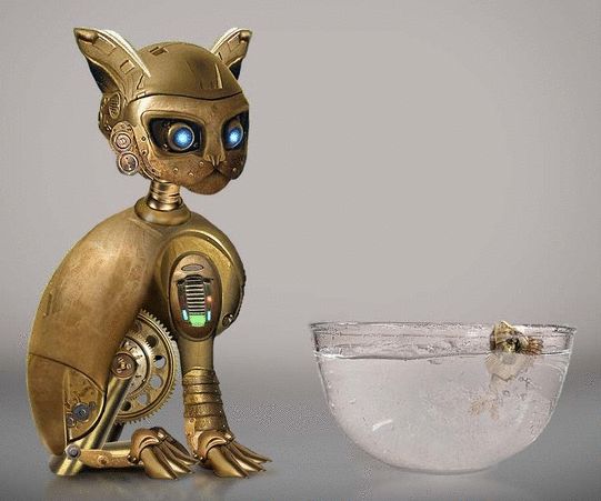Steampunk Cat Goldfish Animation My Fantasy World