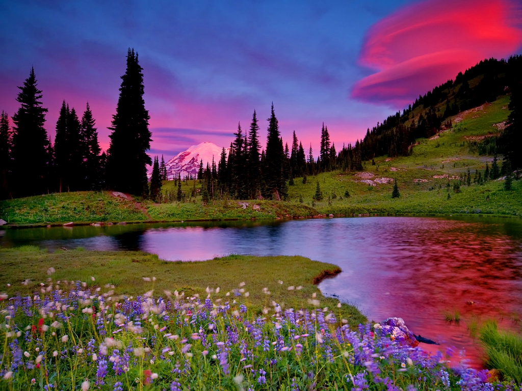 Pinky Nature Wallpaper Photo Gallery