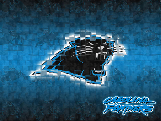 Carolina Panther Desktop Wallpaper