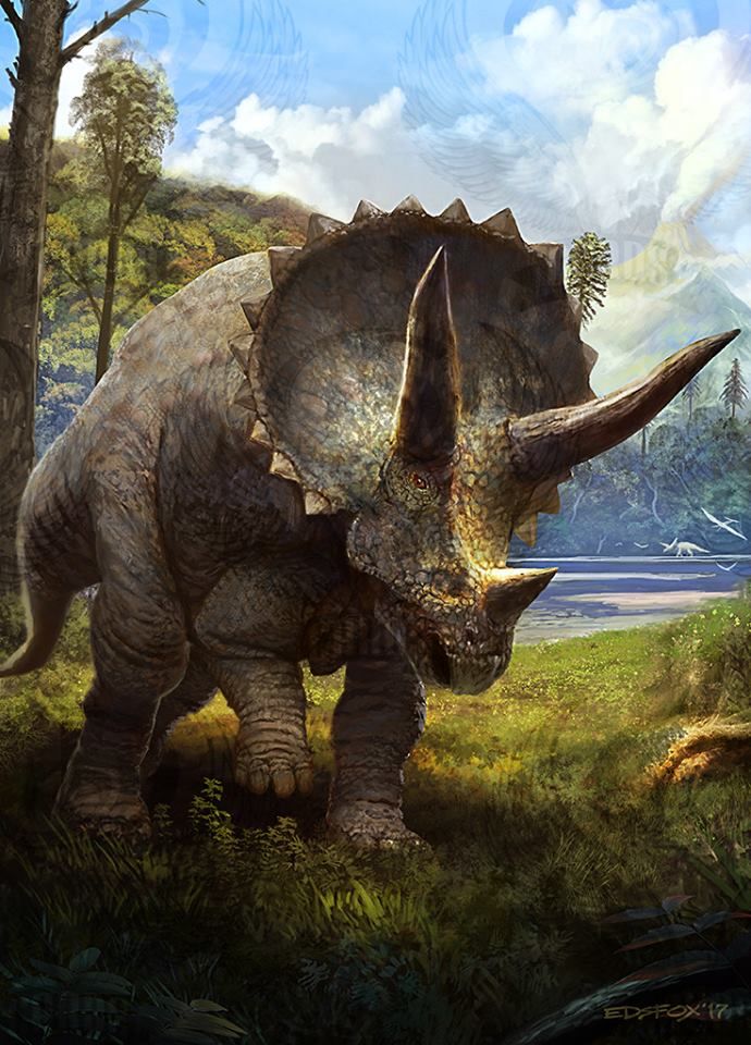 Triceratops Artwork By Eduardo Dom Nguez Lance Concept Artist