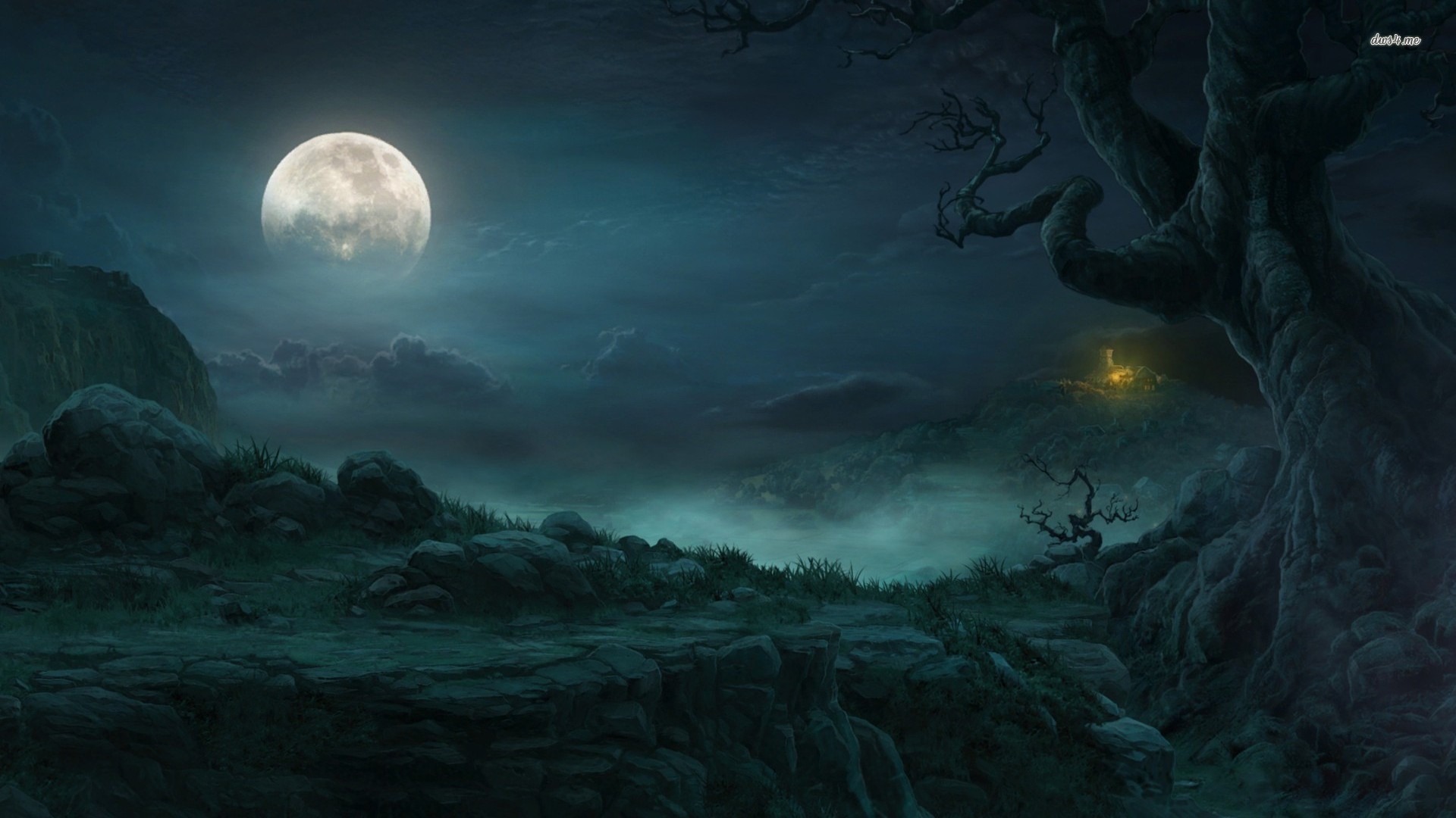 Full Moon In The Forest Wallpaper