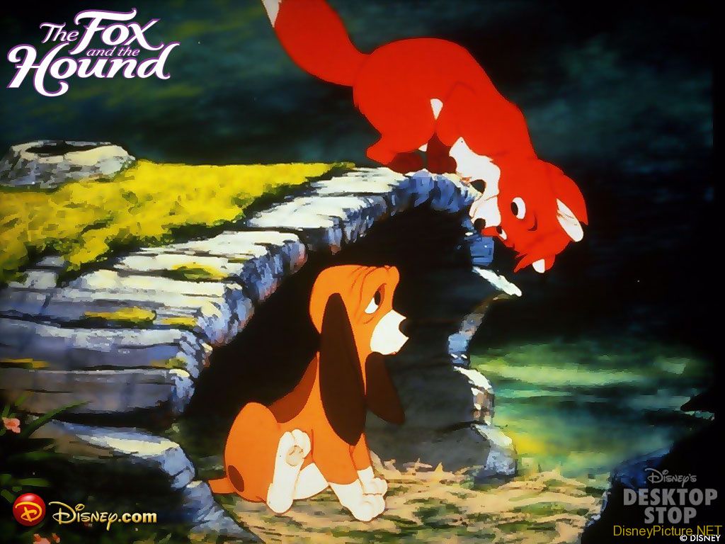 Picture Foxhound Photo Wallpaper
