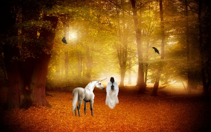 Unicorn Horse Magical Animal Angel Fairy Autumn Forest G Wallpaper
