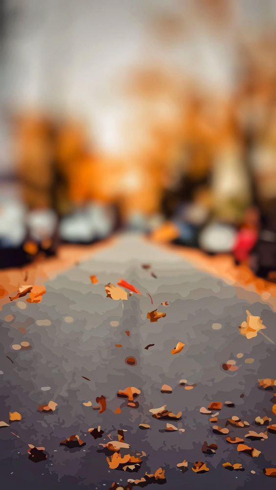 Fall iPhone Wallpaper Cute Background Ideas For