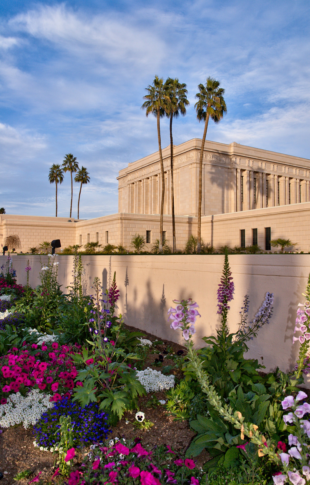 49 Wallpaper S In Mesa Az On Wallpapersafari 49 Wallpaper S In Mesa Az On