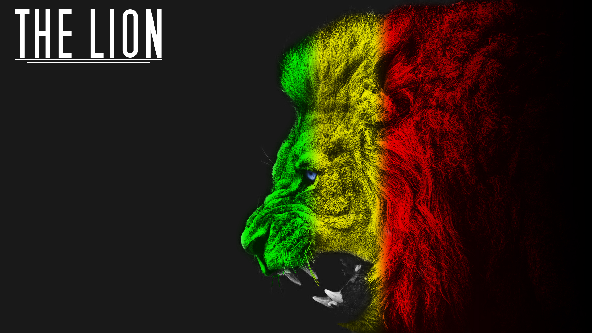 The Lion Wallpaper by Th3TwisteD on