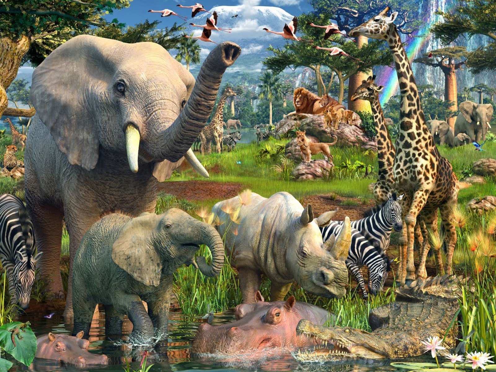 Pictures Of Jungle Animals At Anthony Griggs Blog
