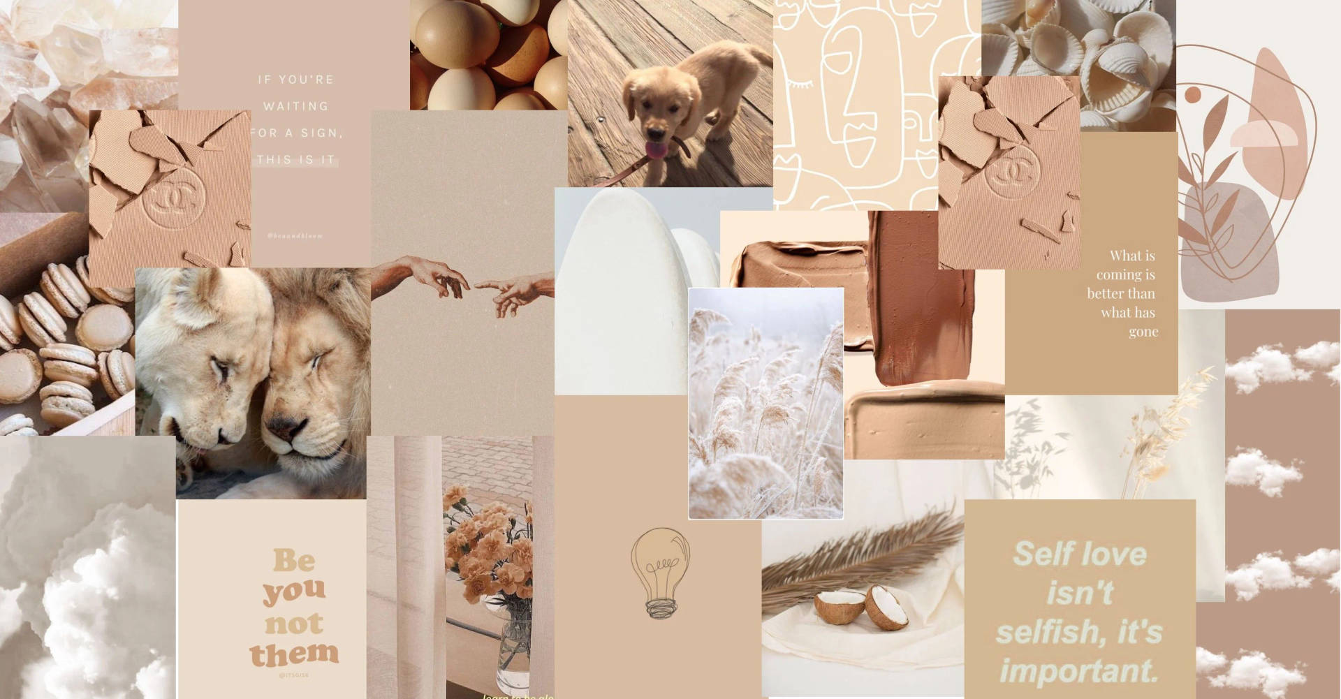 Beige Aesthetic Wallpaper