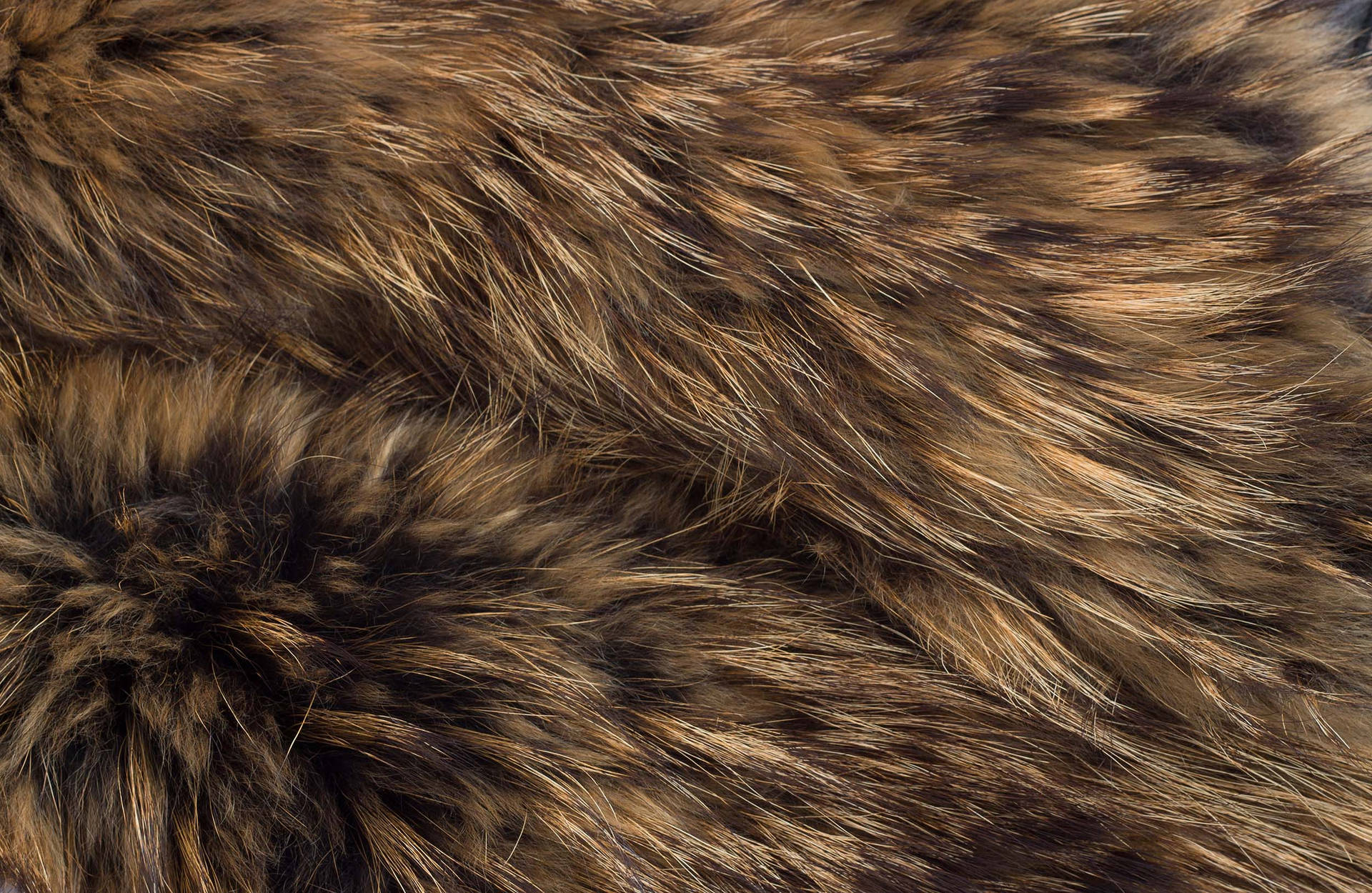Animal Fur Wallpaper