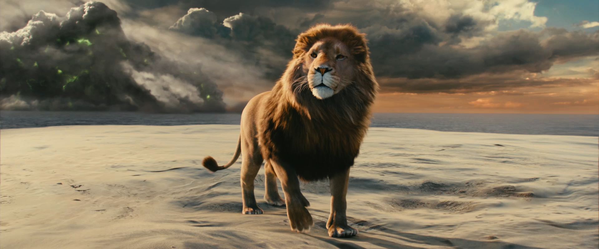Aslan Lion Chronicles Of Narnia Voyage The Dawn Treader Wallpaper