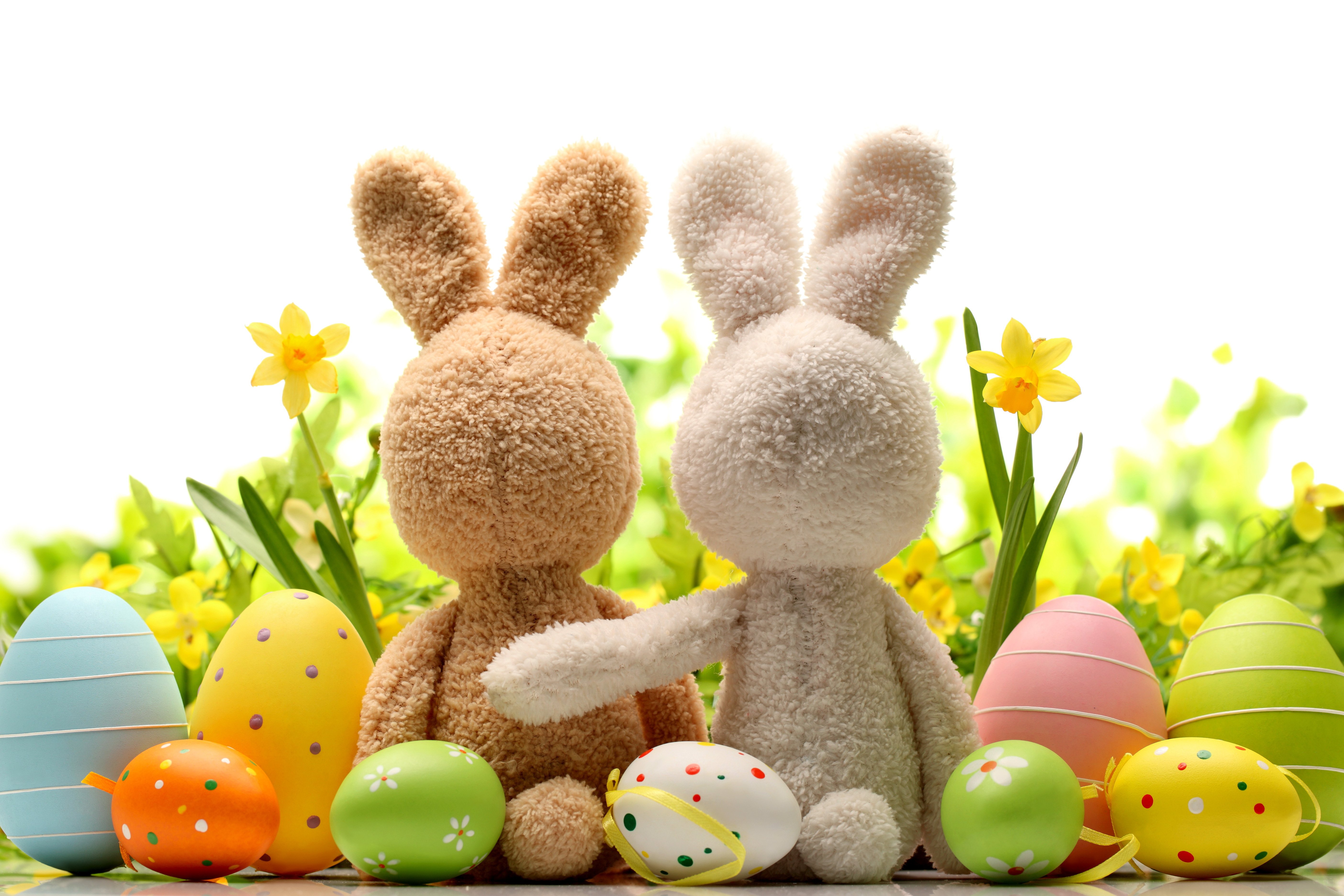 Easter Photo Backgrounds HD Easter Images