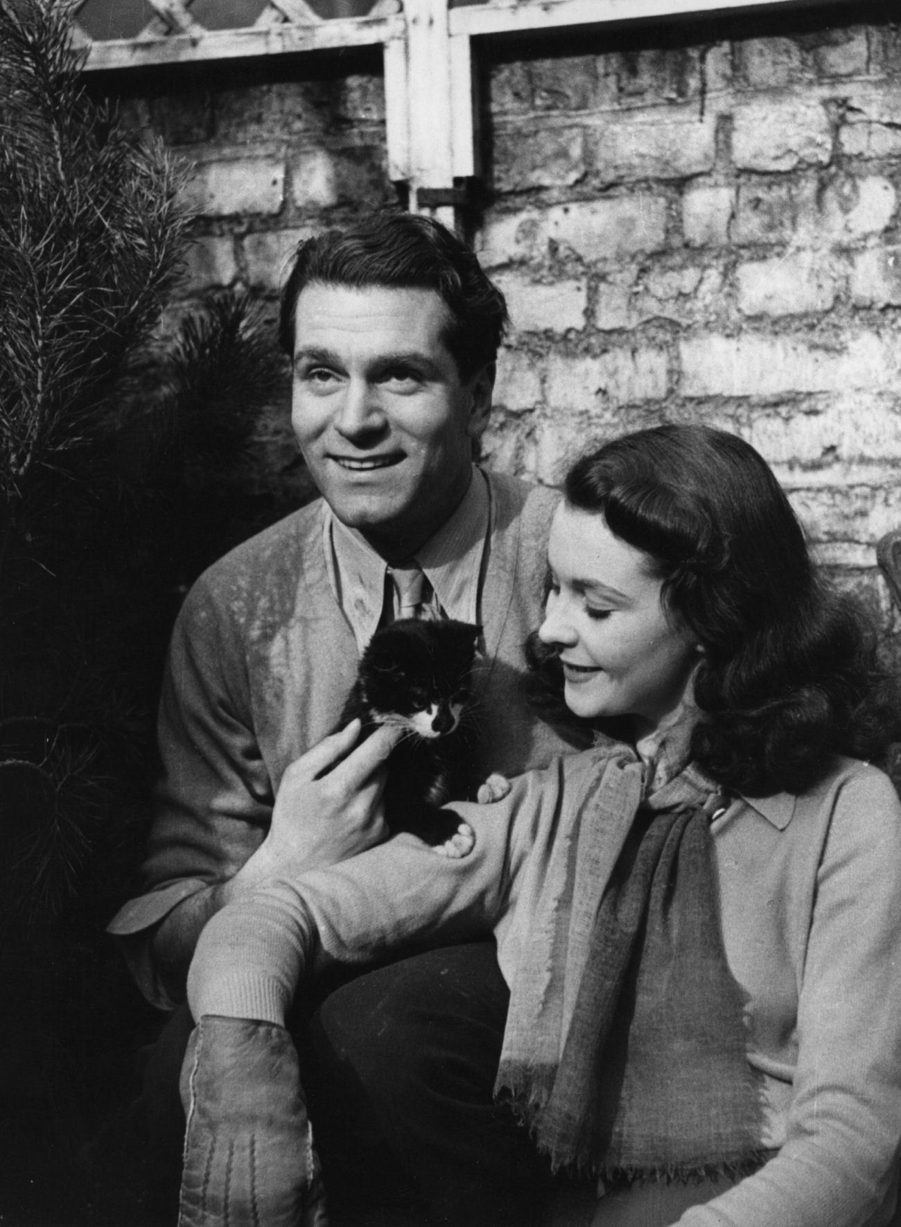 Vivien Leigh Image And Laurence Olivier HD Wallpaper