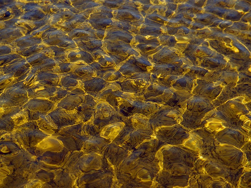 🔥 Free download Brickwork Pewter Exposed Brick Effect Wallpaper Lowes