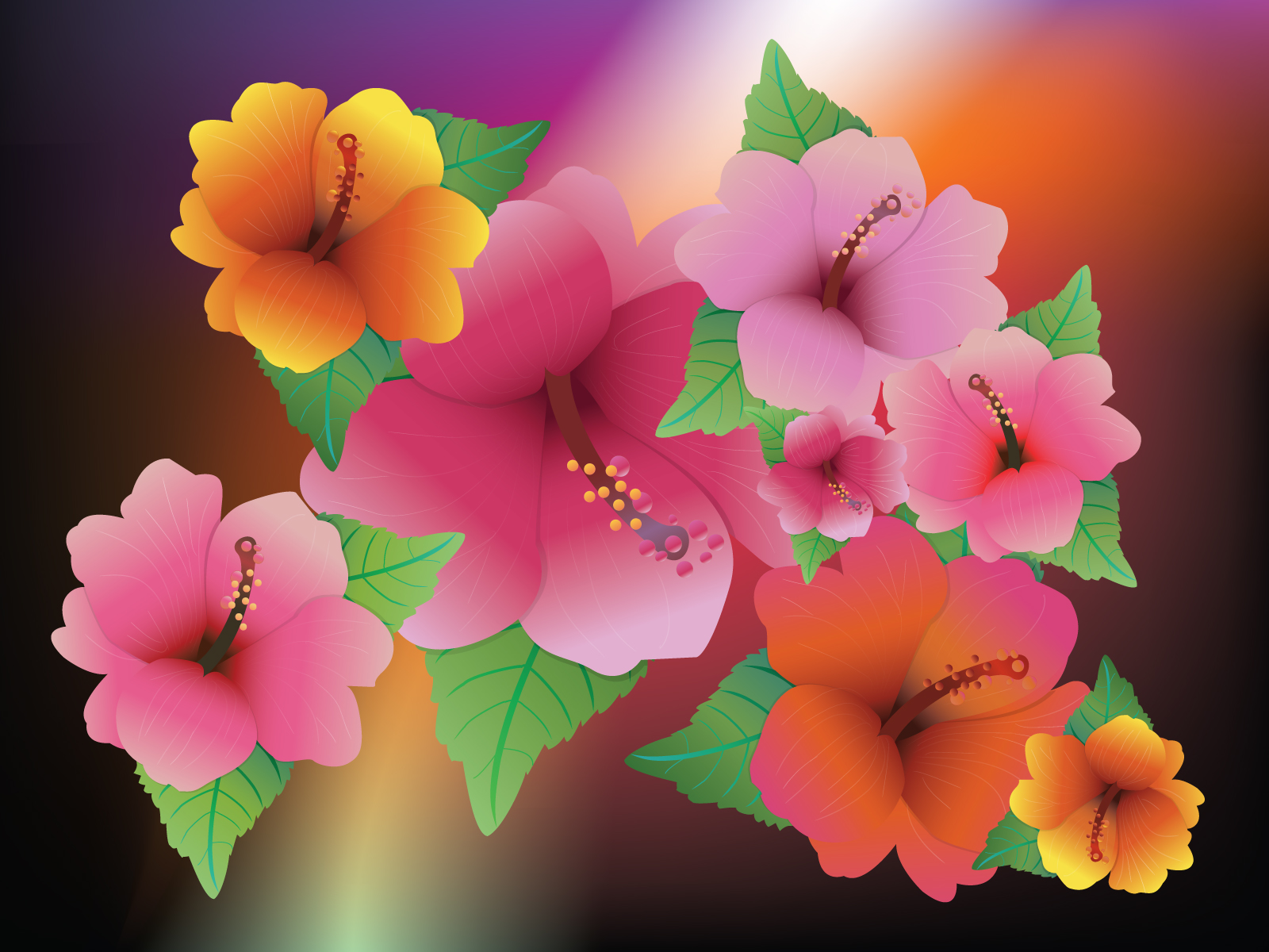 Hibiscus Exotic Flowers Background Ppt
