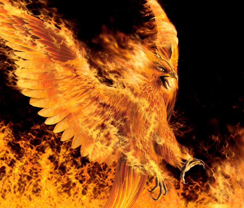 Raging Flaming Phoenix On Black Background By Imkstudios