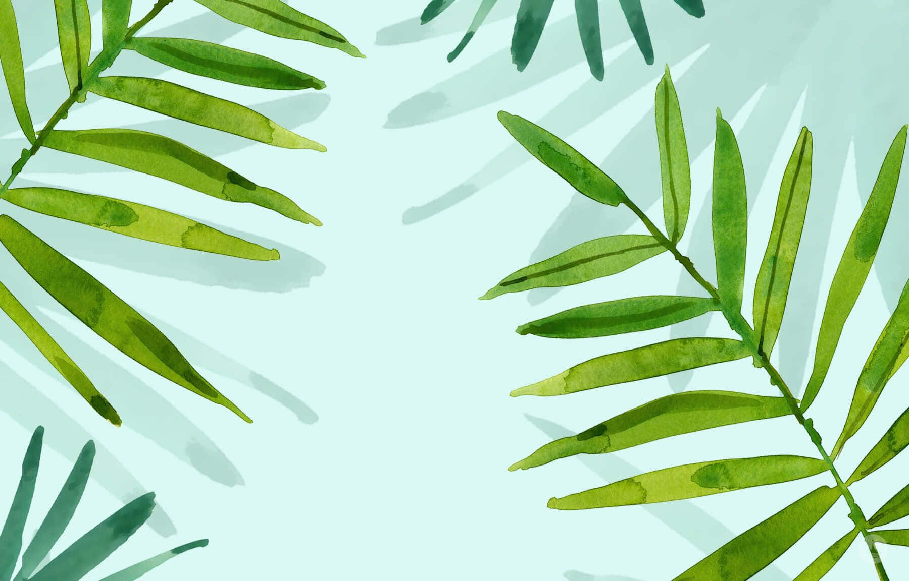 Plant Aesthetic Laptop Wallpaper