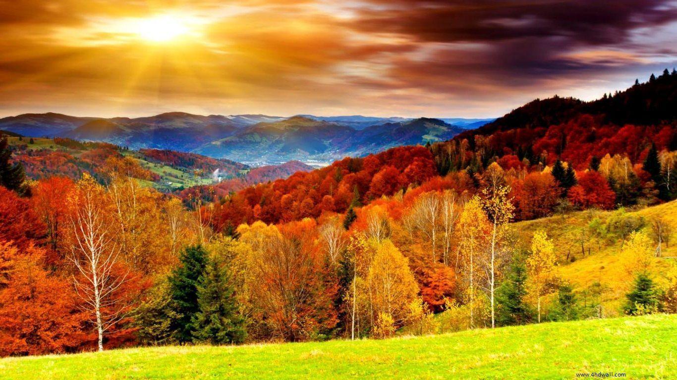 Autumn Wallpapers HD 1366x768