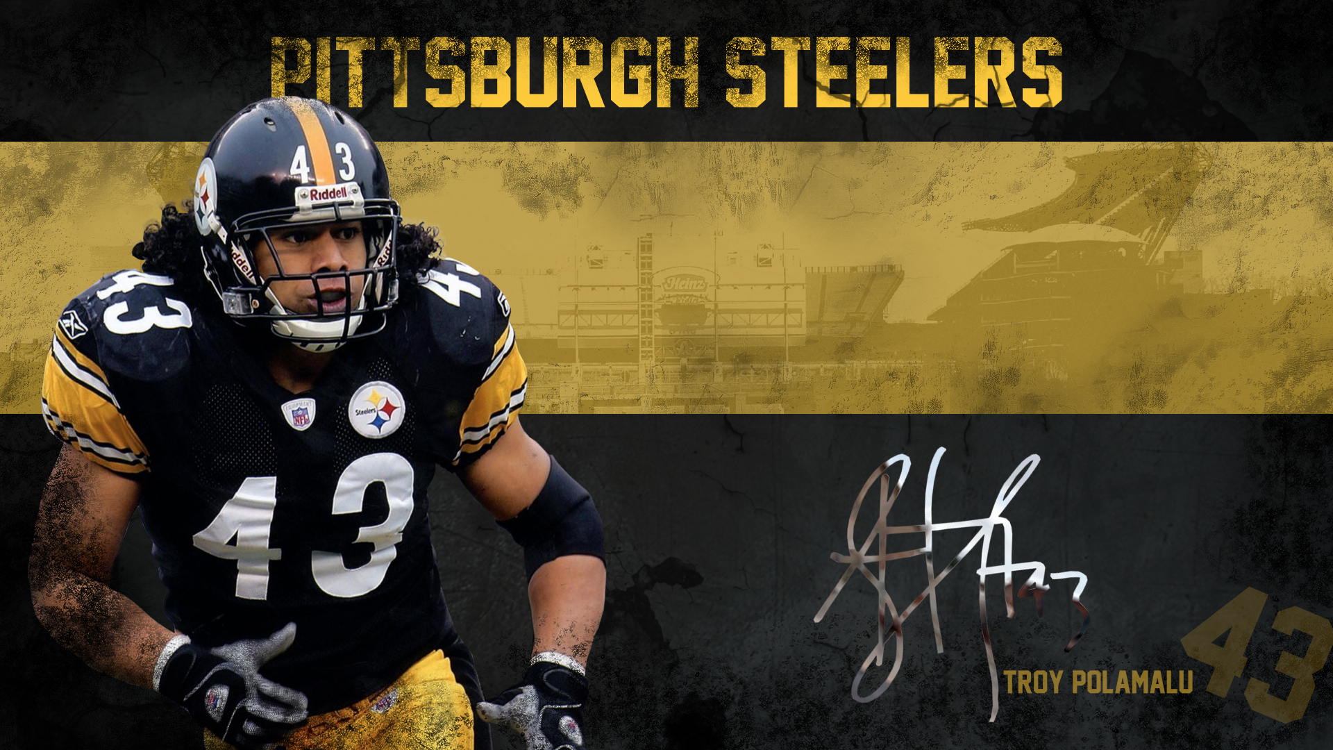 Troy Polamalu Wallpaper Pittsburgh Steelers