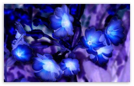 Glowing Flowers Inspired By Avatar HD Wallpaper For Standard