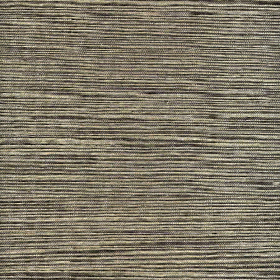  allen roth Gray Grasscloth Unpasted Textured Wallpaper at Lowescom 900x900