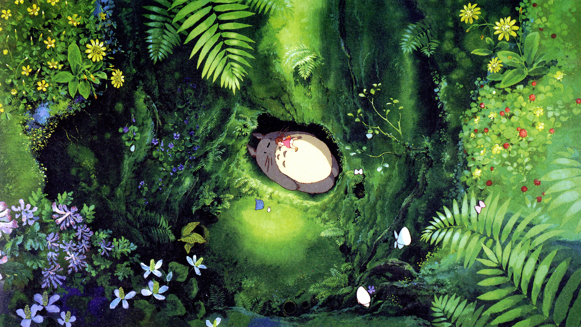 Totoro Anime Wallpaper