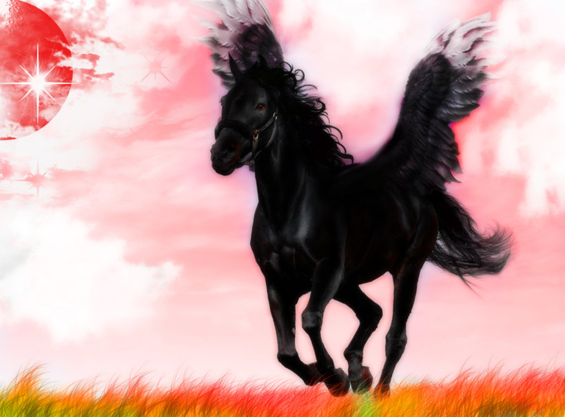 Black Pegasus Wallpaper