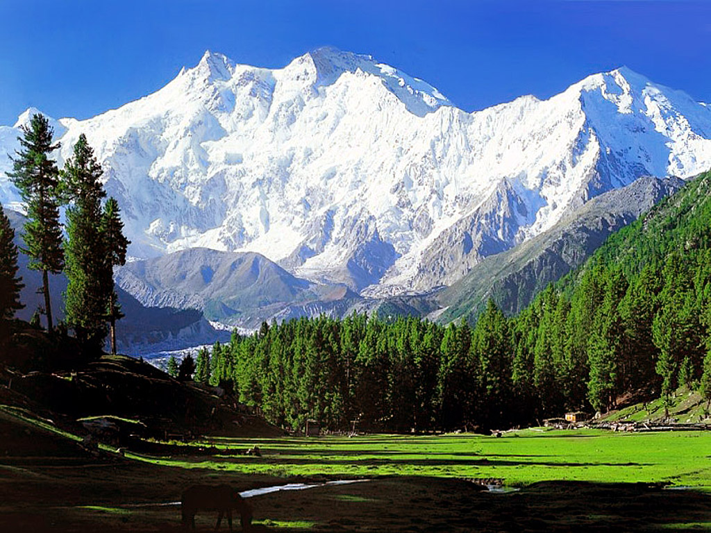 Himalayas HD Wallpaper High Definition Background