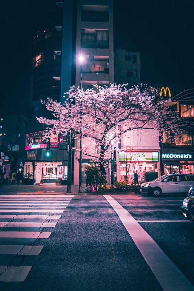 Japan Visuals on Japan photography Aesthetic japan