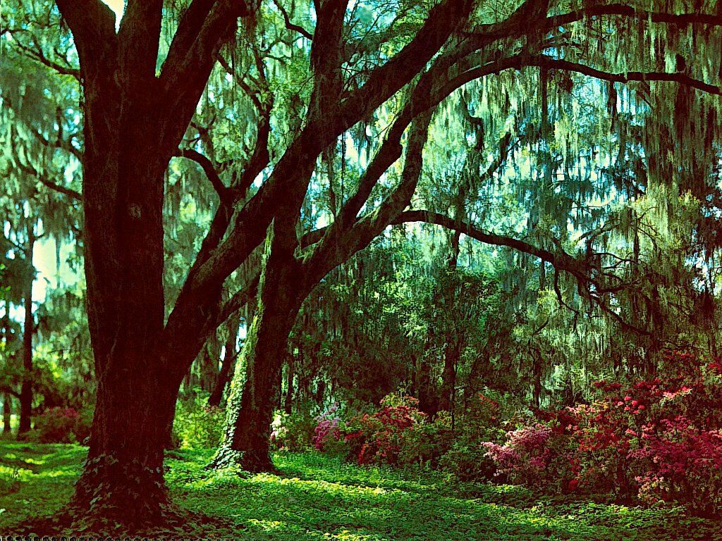 Free download chapin south carolina chapin furniture south carolina