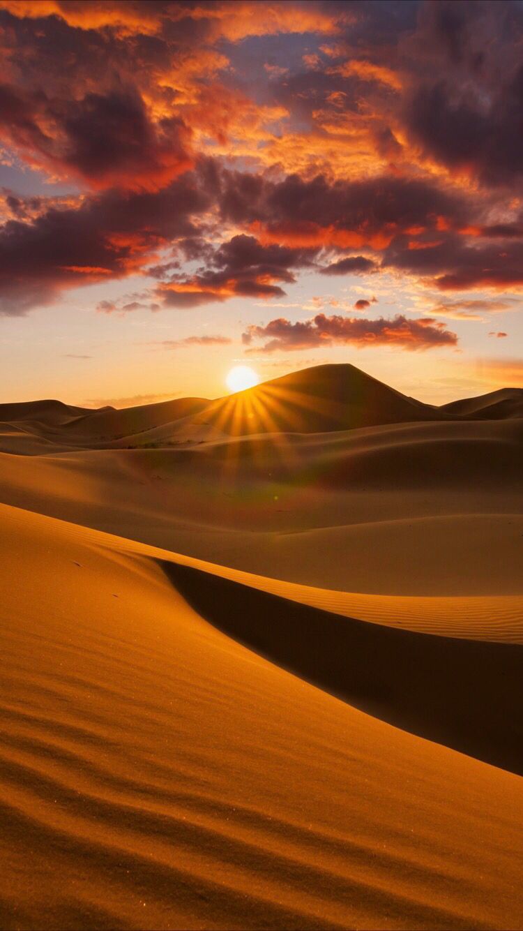 Sand dunes background Desert pictures Desert photography Landscape