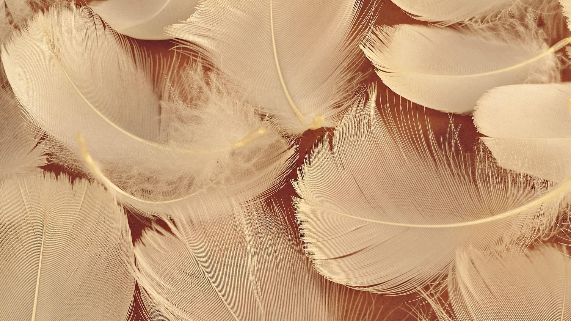 Outstanding White Aesthetic Wallpaper Desktop You Can Save It