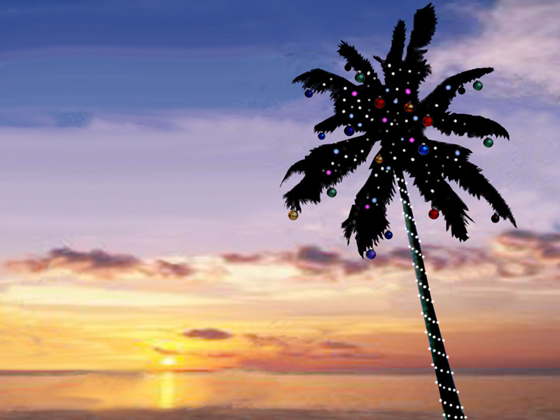 Tropical Christmas Scenes Wallpaper Image Pictures