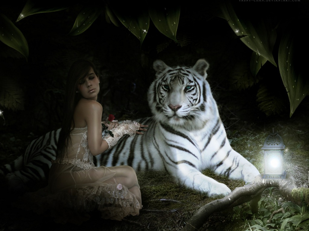 Beautiful Wallpapers white bengal tiger pictures