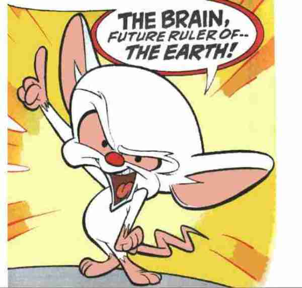 The Brain Pinky and the Brain