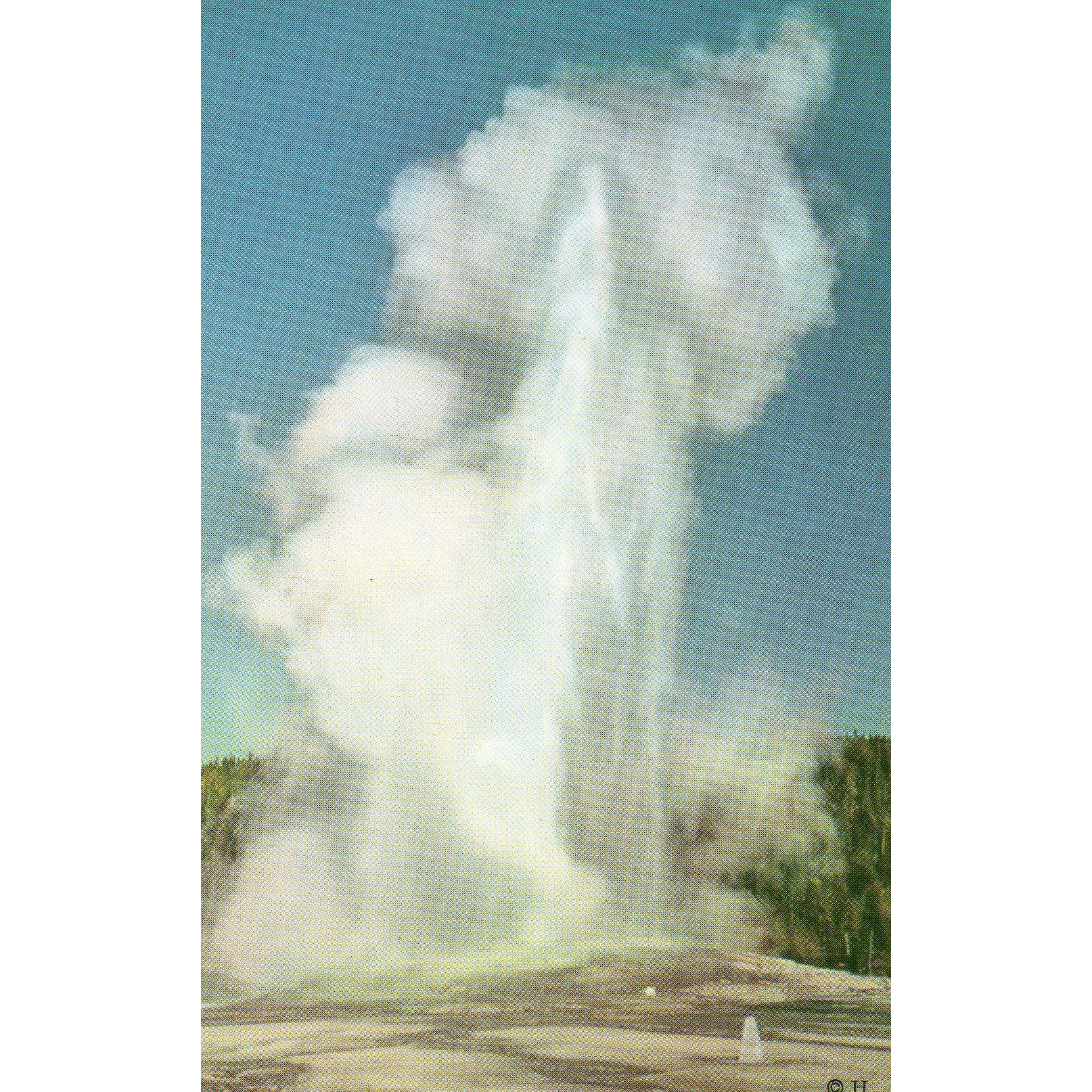 Old Faithful Geyser Yellowstone National Park Wy Wyoming Vintage From