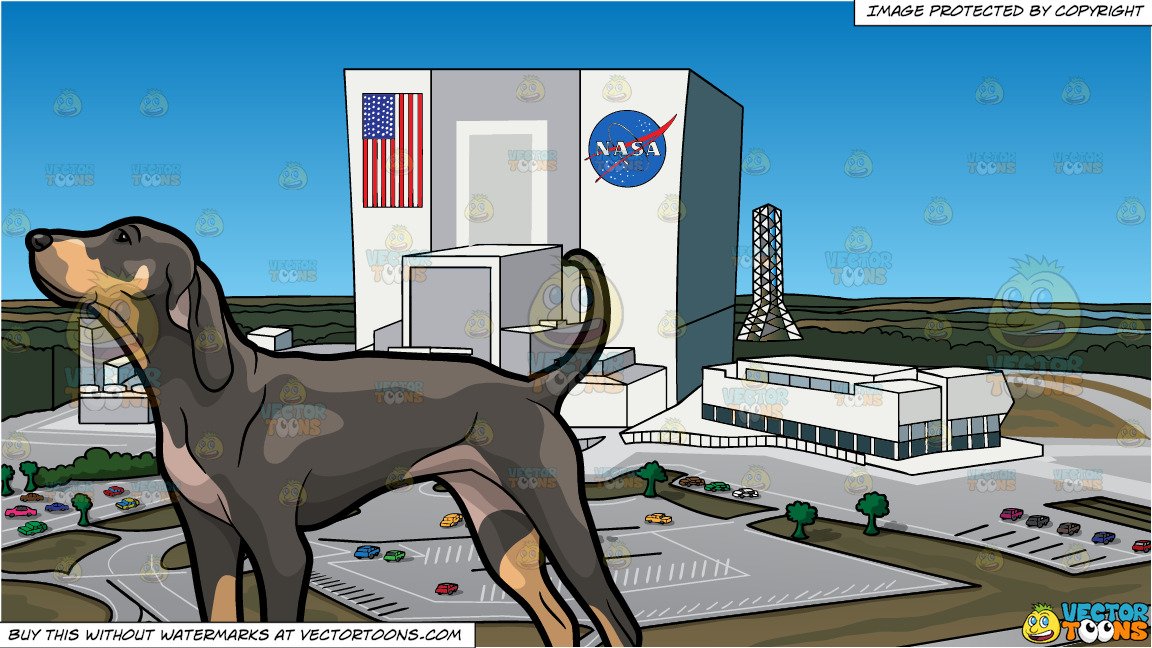 A Pleading Coonhound Pet Dog And Nasa Headquarters Background