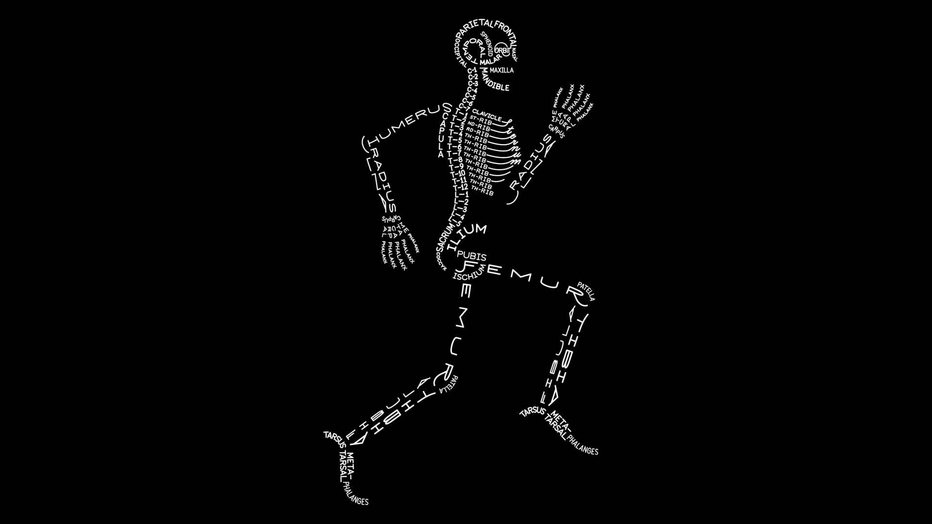 Skeleton Aesthetic Wallpaper