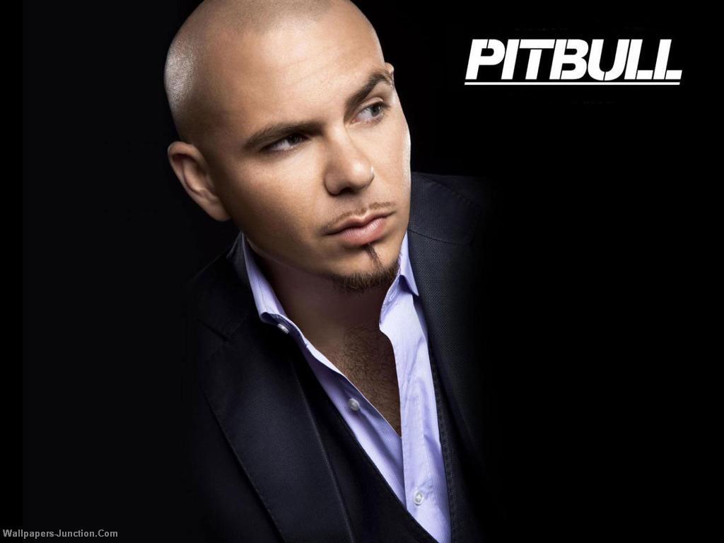 Pitbull Rapper Image Wallpaper HD And Background