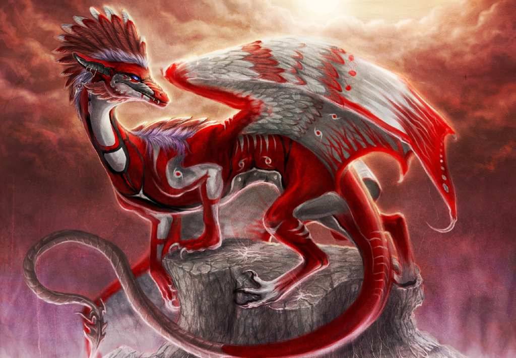 Falcon Red Dragon Dragons Wallpaper