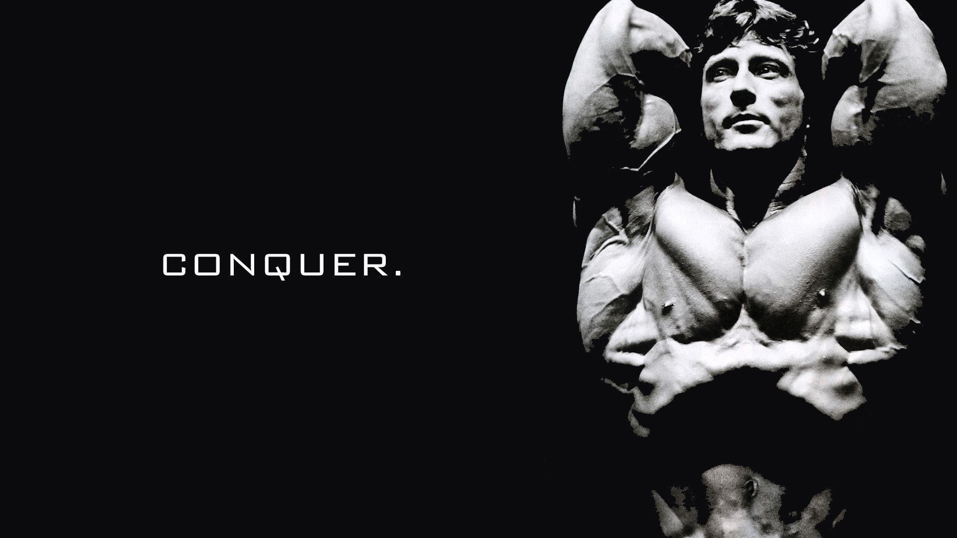 Arnold Wallpaper HD