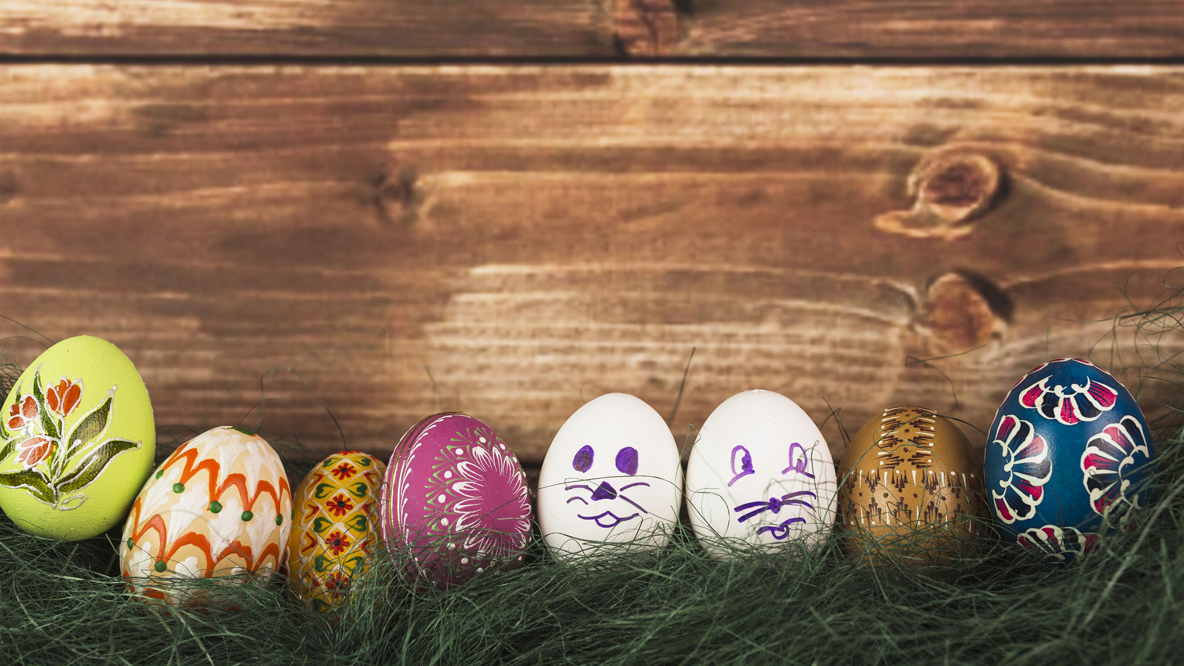 Wallpaper Easter Egg Grass Boards