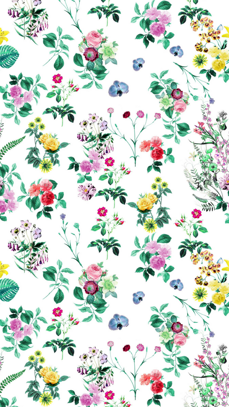 Pretty Floral iPhone Plus HD Wallpaper Flowers Simple