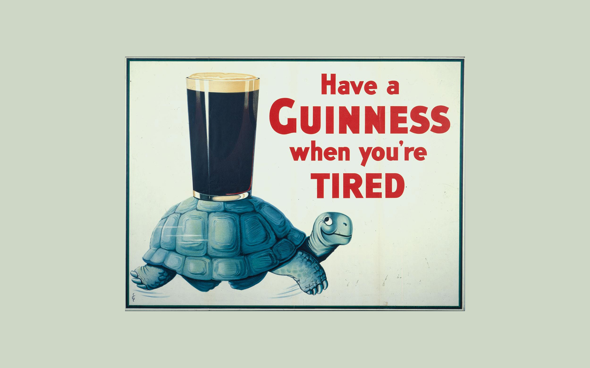 Guinness Turtle Tortoise Beer Alcohol Texts