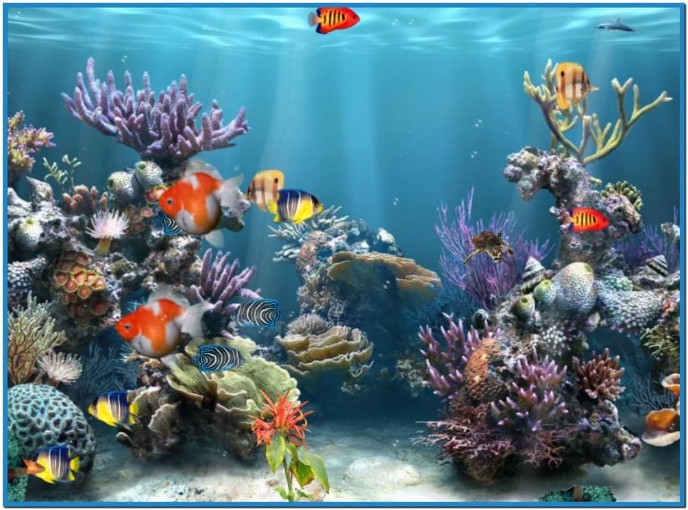 Windows 7 screensaver 3d aquarium   Download 1004x744